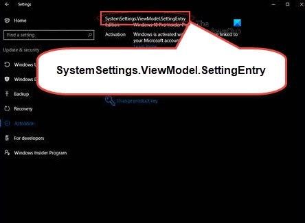 SystemSettings.ViewModel.SettingEntry या NetworkUX.ViewModel.SettingEntry त्रुटि को ठीक करें 
