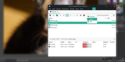 Linux में SpaceFM के साथ आसानी से एकाधिक फ़ाइलें कैसे खोलें 
