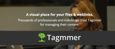 टैगमर:आपकी फ़ाइलों और वेब लिंक के लिए एक दृश्य स्थान 