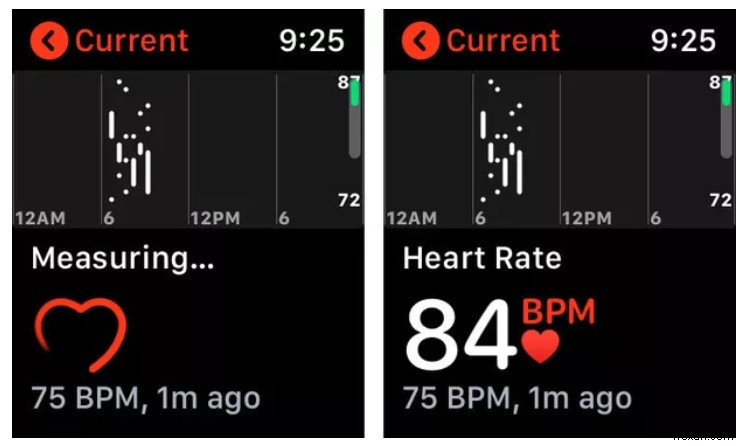 Apple Watch Heart Rate Monitor से क्या अपेक्षा करें