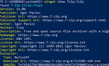 Windows 10 और 11 पर WinGet पैकेज मैनेजर का उपयोग करना