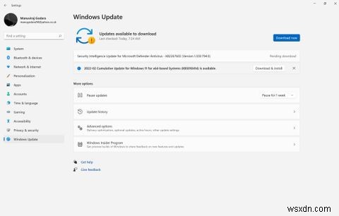 Windows 11 में रनटाइम त्रुटियों को कैसे ठीक करें
