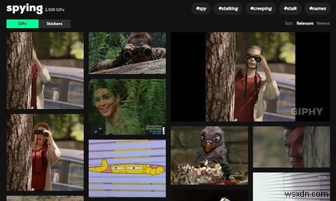 फेसबुक ने Giphy खरीदा: क्या आपको अपने व्यक्तिगत डेटा की चिंता करनी चाहिए?