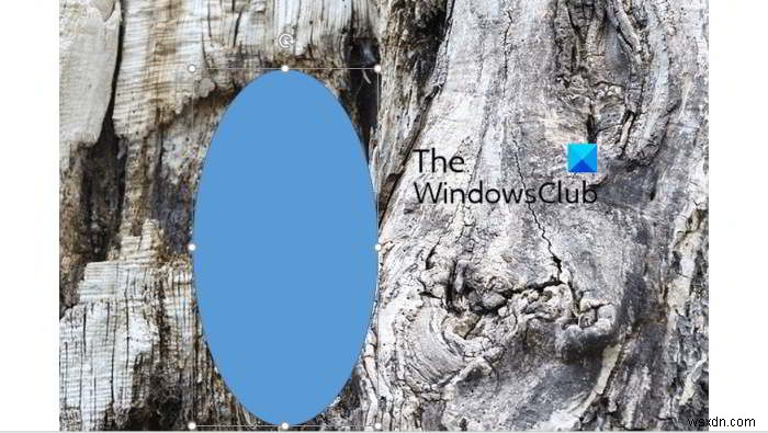 PowerPoint से तस्वीर के किसी भाग को ब्लर कैसे करें