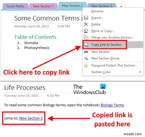 OneNote में लिंक कैसे बनाएं