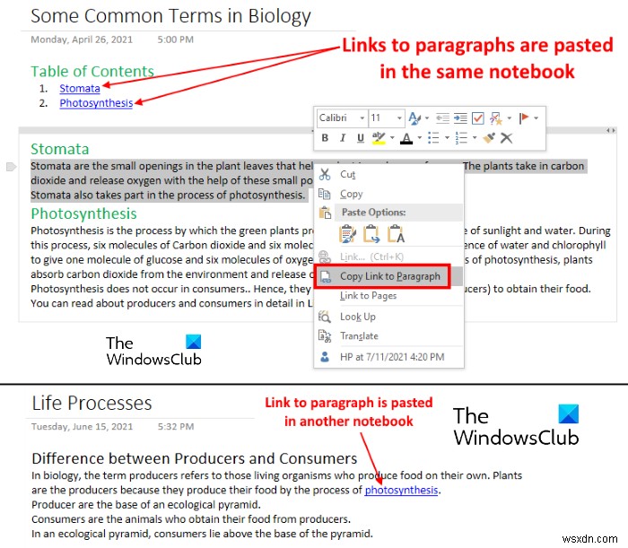 OneNote में लिंक कैसे बनाएं