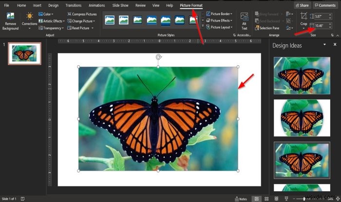 PowerPoint में तस्वीर को टुकड़ों में विभाजित करने के लिए स्प्लिट इफेक्ट कैसे बनाएं