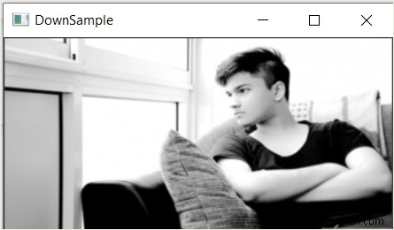 OpenCV का उपयोग करके छवि डाउनसैंपलिंग करना