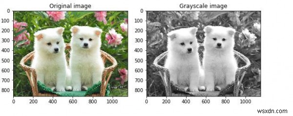 पायथन में scikit-learn का उपयोग करके इमेज को RGB से ग्रेस्केल में कैसे बदलें