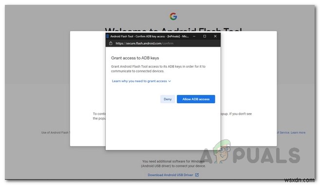 समर्थित डिवाइस पर Android 12 पब्लिक बीटा कैसे इंस्टॉल करें