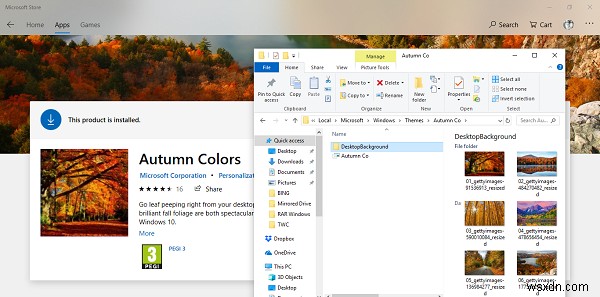 Windows 11/10 थीम्स कहाँ स्टोर होती हैं? लोकेशन और एक्सट्रैक्ट करने का तरीका