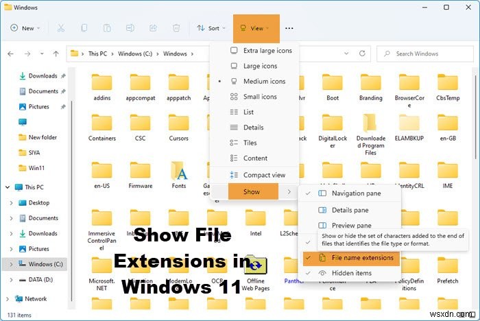 विंडोज 11/10 में फाइल एक्सटेंशन कैसे दिखाएं