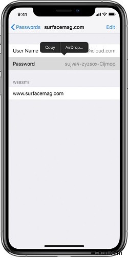 नए iPhone (iPhone 13 शामिल) पर पासवर्ड ट्रांसफर कैसे करें
