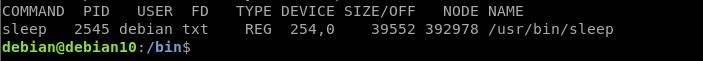 Linux में खुली फ़ाइलों को सूचीबद्ध करने के लिए lsof कमांड का उपयोग कैसे करें