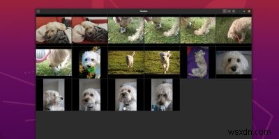 Gnome Photos के साथ अपनी तस्वीरों को व्यवस्थित और साझा कैसे करें