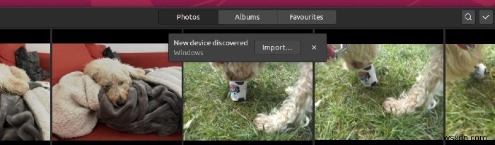 Gnome Photos के साथ अपनी तस्वीरों को व्यवस्थित और साझा कैसे करें