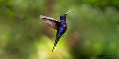 LXQt Review: एक हल्का, विस्तार योग्य और आकर्षक डेस्कटॉप वातावरण
