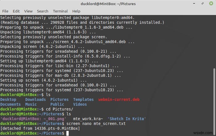 लिनक्स टर्मिनल में Screen के साथ मल्टीटास्क कैसे करें