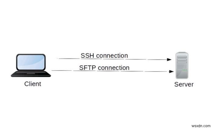 SCP बनाम SFTP: फ़ाइल ट्रांसफर के लिए कौन सा उपयोग करें