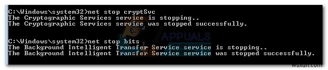समाधान: Windows Update Error 800f0902