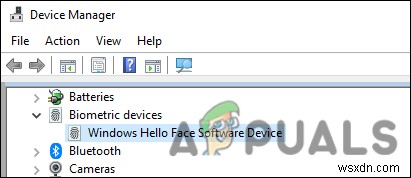 Windows Hello पर फेसियल रिकग्निशन उपलब्ध नहीं है - कैसे ठीक करें?
