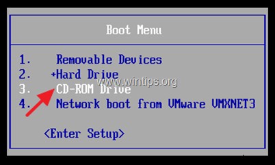चरण-दर-चरण गाइड: बेयर-मेटल सर्वर पर VMware vSphere ESXi 6.7 इंस्टॉल करना