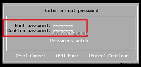 चरण-दर-चरण गाइड: बेयर-मेटल सर्वर पर VMware vSphere ESXi 6.7 इंस्टॉल करना