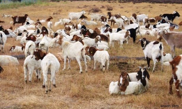 गूगल के बारे में 10 आश्चर्यजनक तथ्य जो आप कभी नहीं जानते थे