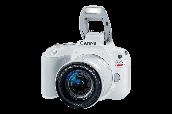 फोटोग्राफी शुरुआती के लिए शीर्ष 10 किफायती DSLR कैमरे