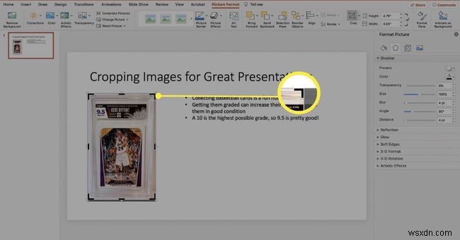 PowerPoint में किसी चित्र को कैसे काटें