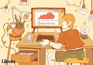 बैकब्लेज रिव्यू