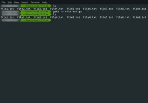 गनज़िप कमांड के उदाहरण उपयोग