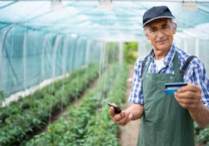 iPhone के लिए Safari में क्रेडिट कार्ड नंबर कैसे स्कैन करें