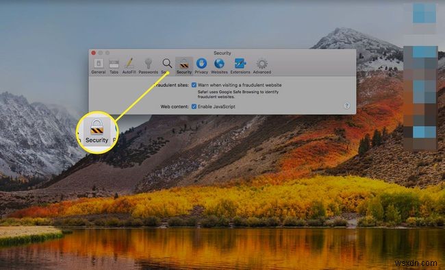 Safari प्लगइन्स कैसे देखें, प्रबंधित करें या निकालें