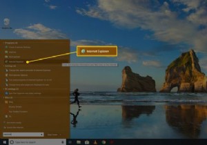 मेरे पास Internet Explorer का कौन सा संस्करण है?