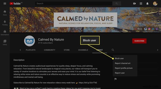 YouTube चैनल कैसे ब्लॉक करें