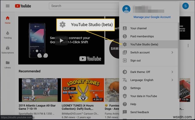 YouTube से वीडियो कैसे निकालें