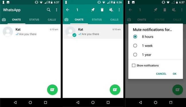 WhatsApp म्यूट का उपयोग कैसे करें