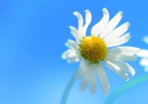 शीर्ष 3 विशेषताएं जो केवल Windows 8 एंटरप्राइज़ संस्करण में उपलब्ध हैं
