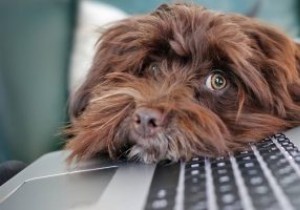 Windows सिस्टम में Keyloggers का पता कैसे लगाएं