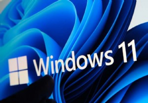 Windows 11 उत्पाद कुंजी कैसे खोजें