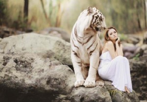 4 बेहतरीन ऑनलाइन इमेज कंप्रेशर्स और ऑप्टिमाइज़र