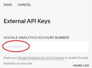 Google Analytics को Squarespace में कैसे जोड़ें 