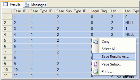कॉलम हेडर के साथ एक्सेल में SQL डेटा निर्यात करें 