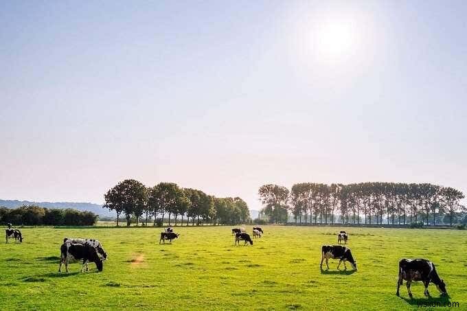 एचडीजी बताते हैं:आरएफआईडी क्या है और इसका उपयोग किस लिए किया जा सकता है? 