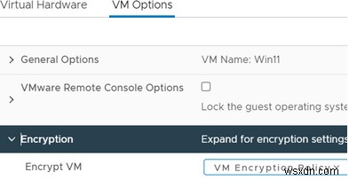 VMware वर्चुअल मशीन पर विंडोज 11 कैसे स्थापित करें? 