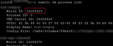 VMware ESXi:एक अनुत्तरदायी (अटक) वर्चुअल मशीन को कैसे मारें 