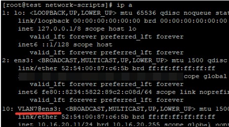 CentOS/Fedora/RHEL . में VLAN इंटरफ़ेस जोड़ना 