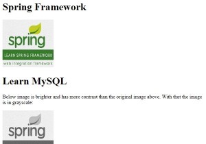 CSS3 का उपयोग करके एक छवि को ग्रेस्केल में परिवर्तित करना 