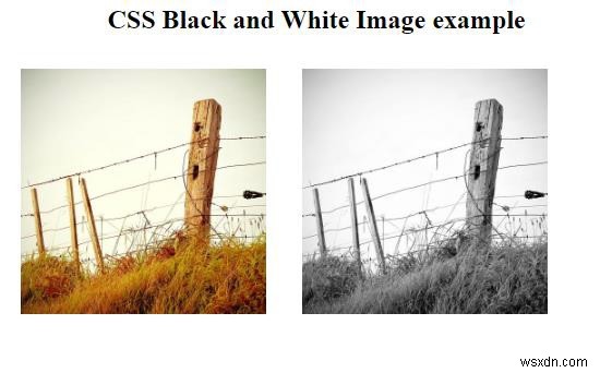 सीएसएस के साथ एक श्वेत और श्याम छवि कैसे बनाएं? 